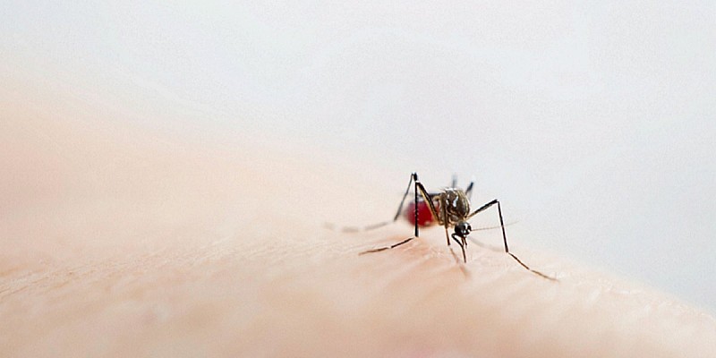 shutterstock_1508879219