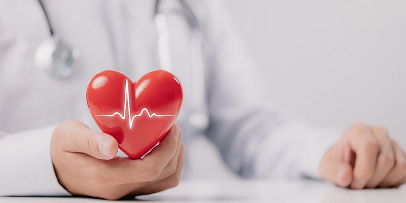 Cardiologo cuore