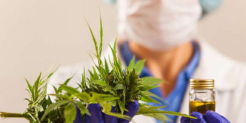 cannabis laboratorio