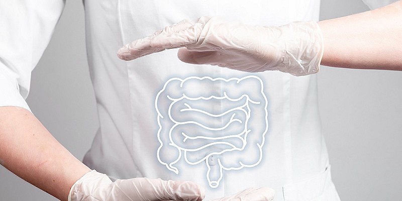 intestino medico microbiota