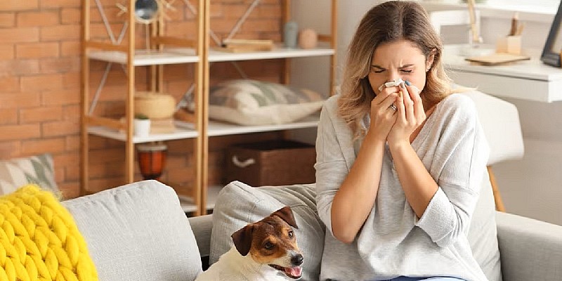 rinite-allergica_900x760