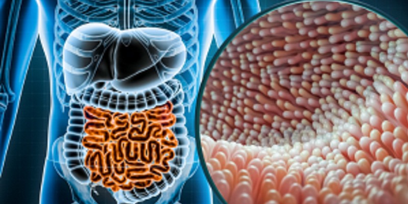 Corso fad Microbioma (300 x 250 px)