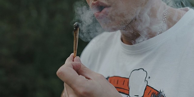 cannabis fumo