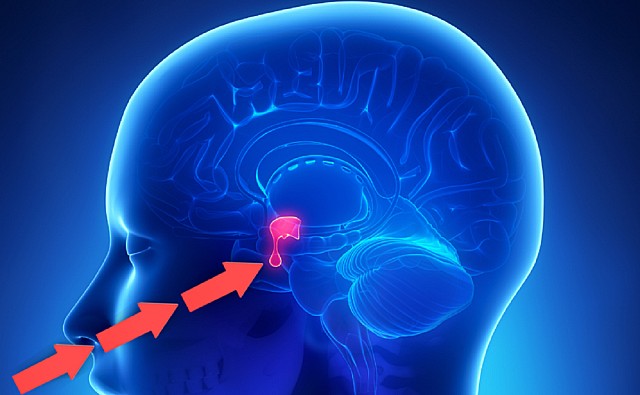 Chirurgia-adenoma-ipofisi-endonasale-843x1024