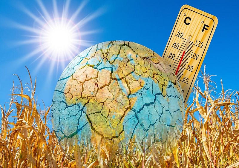 caldo cambiamenti climatici