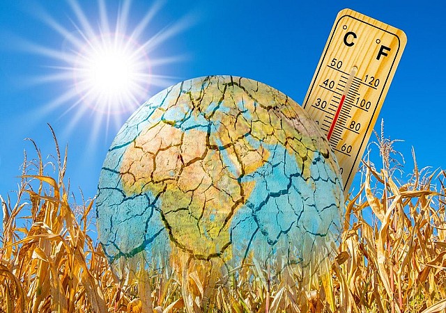 caldo cambiamenti climatici