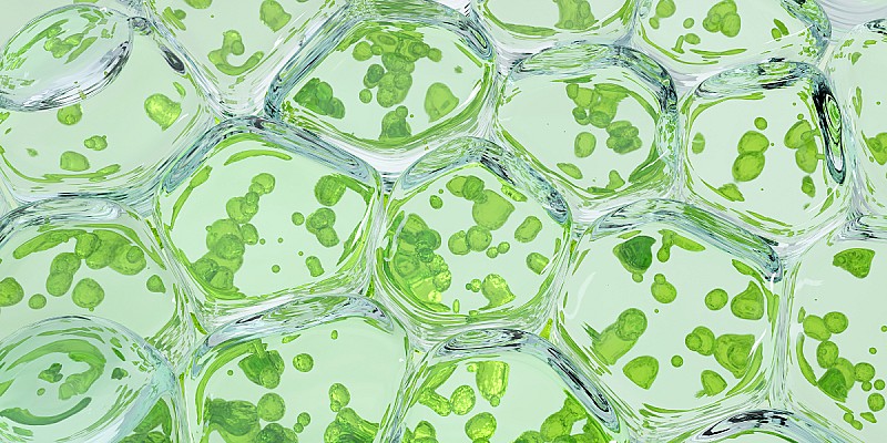1511 Art5 biotecnologie