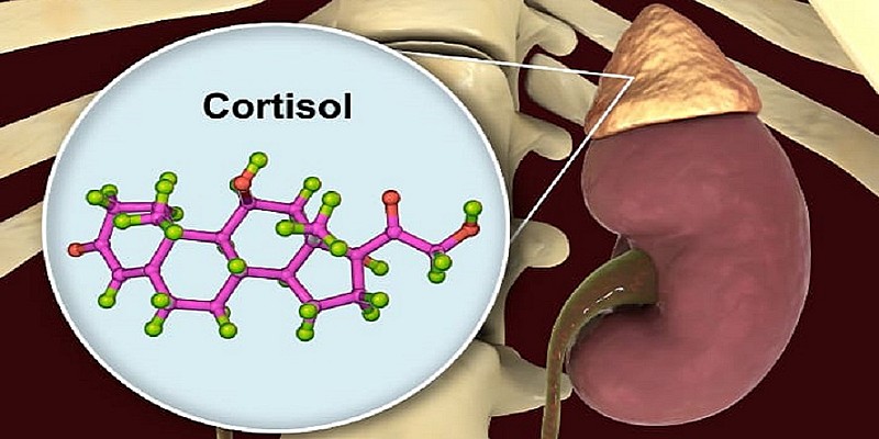 cortisolo