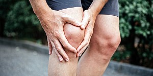 lesionimeniscali