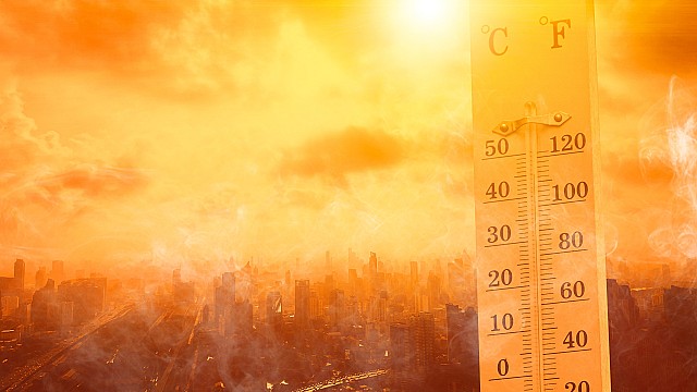 caldo temperature