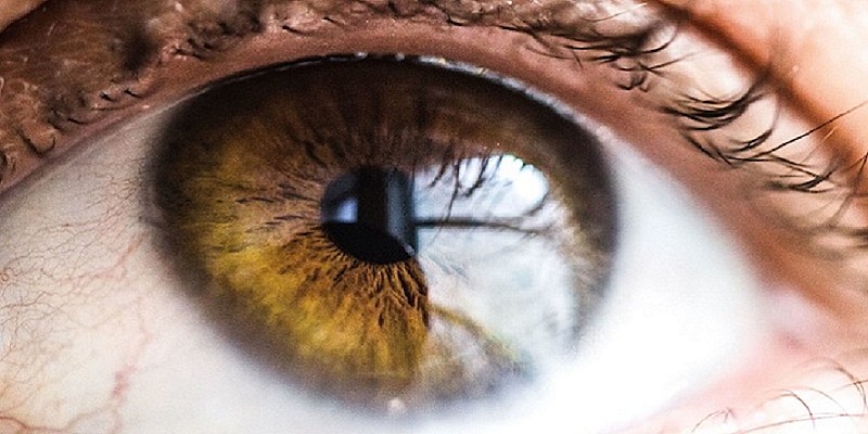 Cataratta - Oculistica Spizzirri - Studio Medico Oculistico - Articolo di approfondimento Oculistico (1)