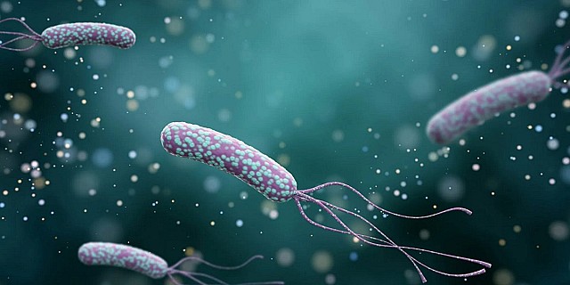 test-helicobacter-pylori-infezione-2048x1158