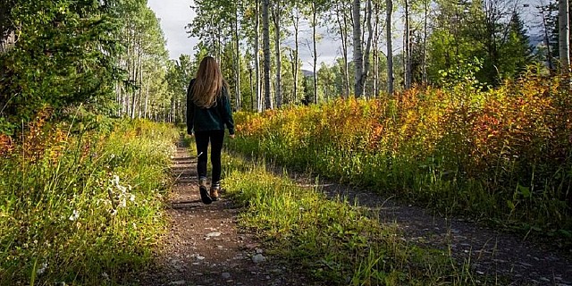 passeggiare-nella-natura-1024x683