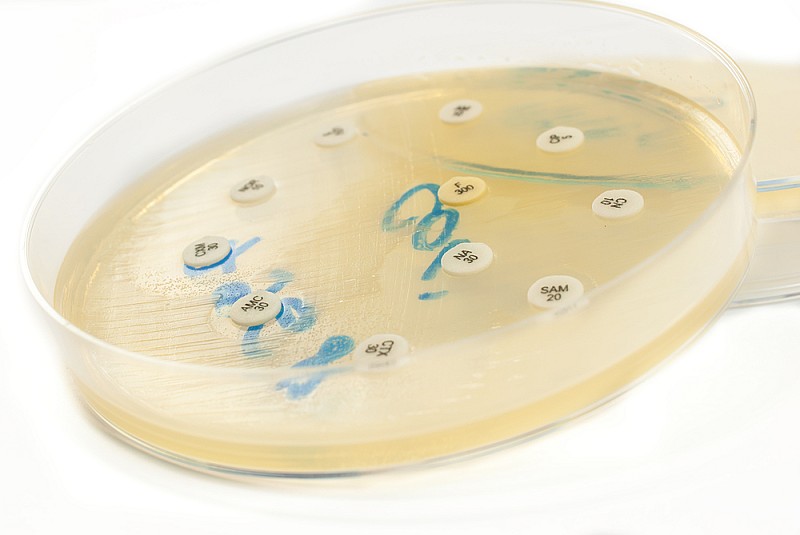 shutterstock_224019397