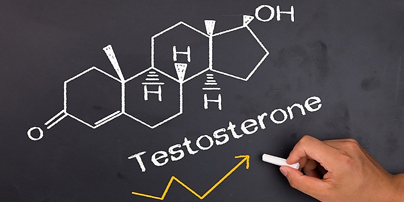 testosterone