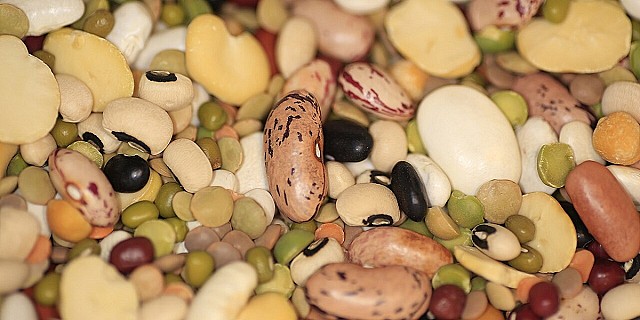 Legumi_misti_8034