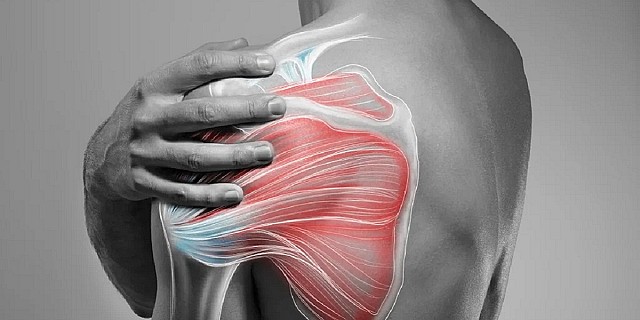 Uomo-che-si-tocca-la-spalla-1024x652