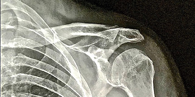 Immagine in evidenza