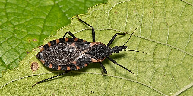 GettyImages-1692244400-2048x1328