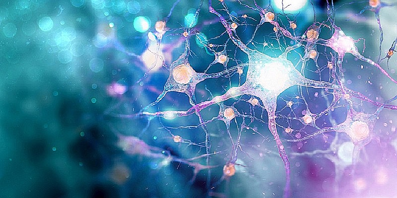 neuroni-medium