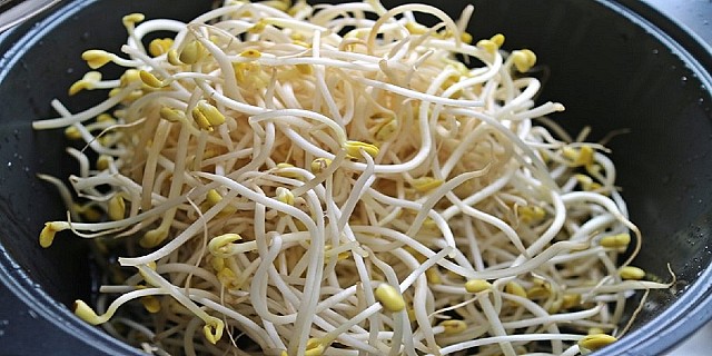 Kongnamul_(soybean_sprout)