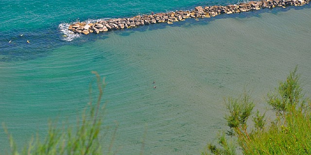 mare