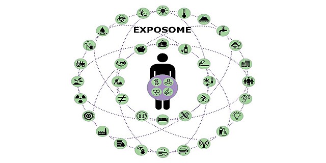 esposoma one health