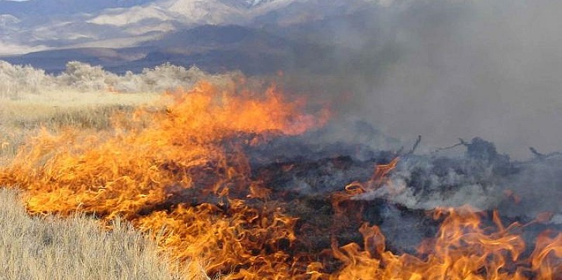 fumo incendi