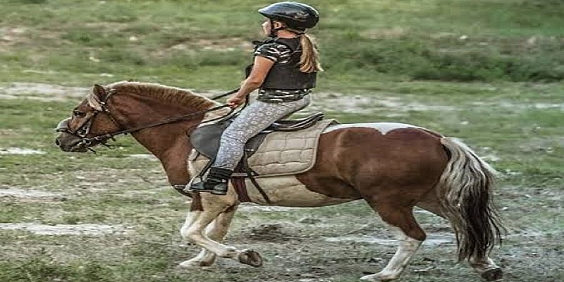 equitazione
